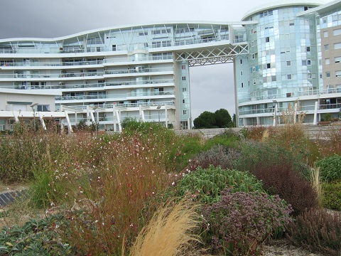 (17) La Rochelle - parcs et aménagements - Page 3 Dscf6734