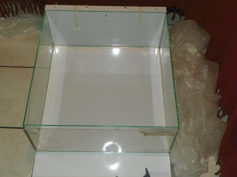table basse aquarium 100_1827