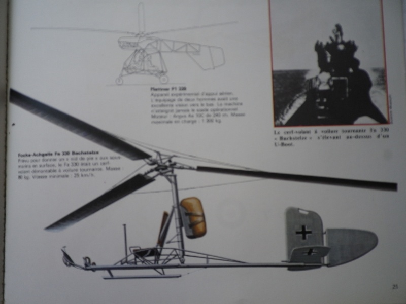 Hélicoptère Focke Wulf Fa 223 Imgp4022