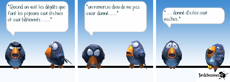 Les Birds - Page 3 13643210