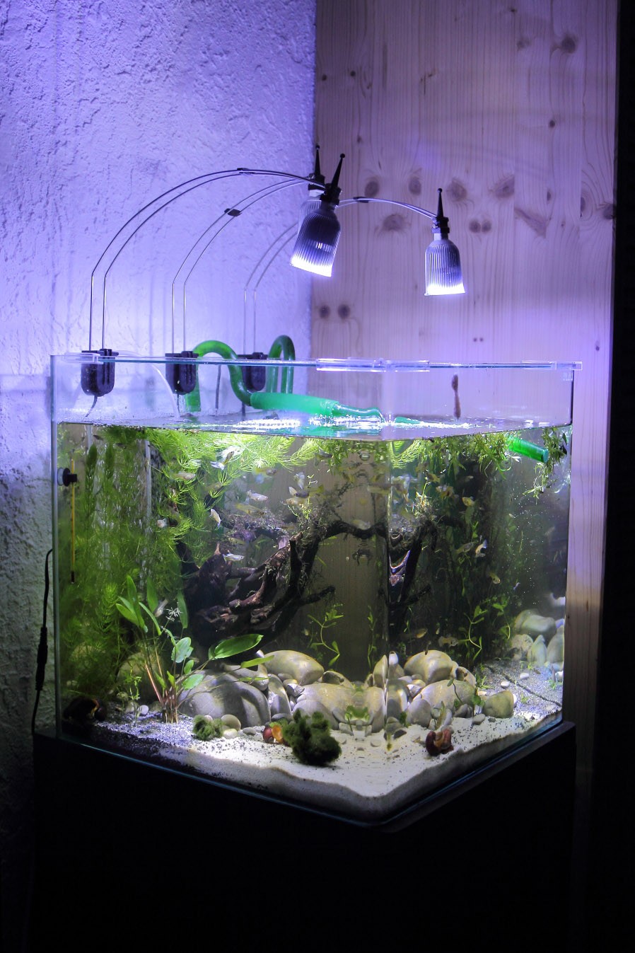 Aquarium cube 91l 91l_2014