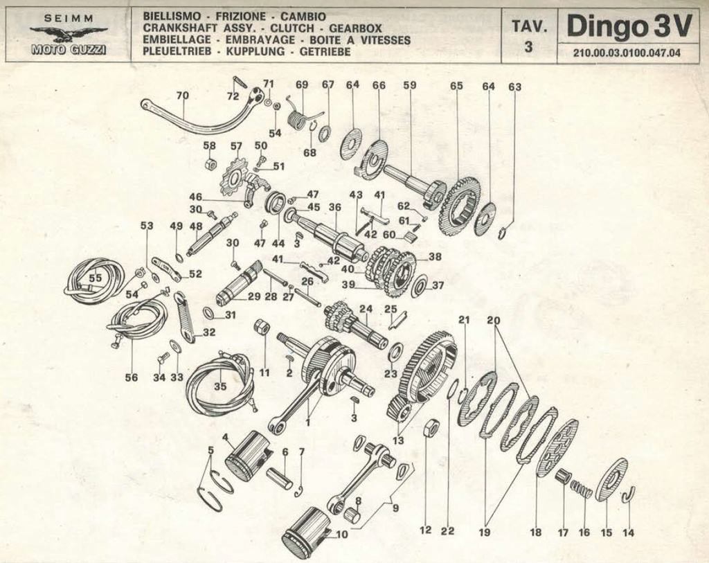 dingo 3v Guzzi_12