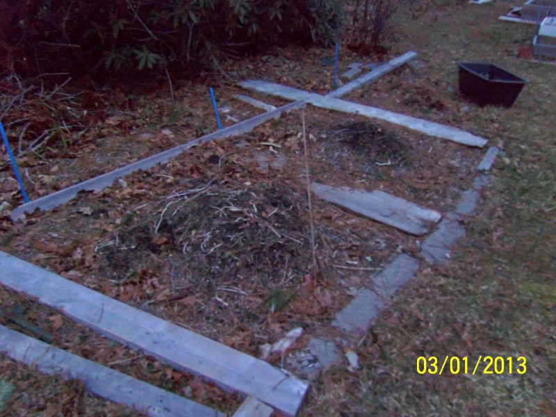 Monthly Avatar Theme March 2013: Your Garden In March! part 1 100_5213
