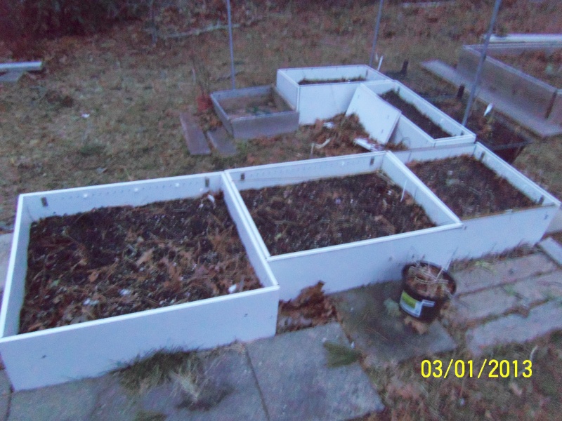 Monthly Avatar Theme March 2013: Your Garden In March! part 1 100_5214