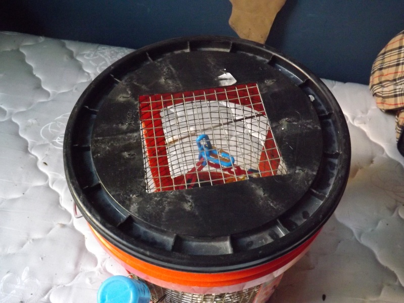 bucket bins for sale! Bucket11