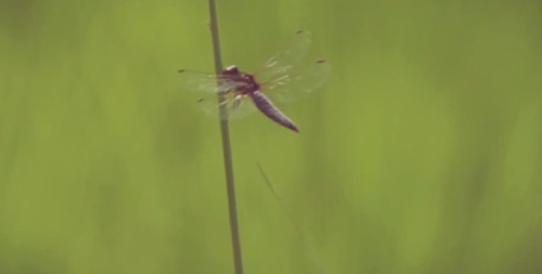 De qu'elle clip vient cette image? - Page 3 Sans_t16