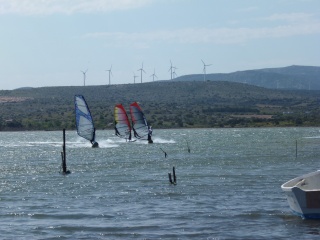 etang de leucate P1000210