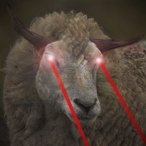 Sheep caused a slight Apocalypse  Evil_s10