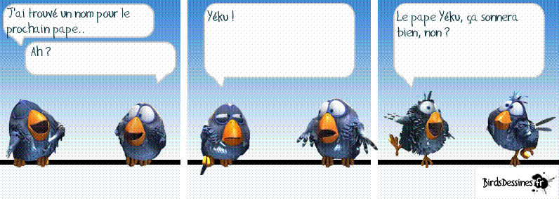 humour - Page 6 Oiseau11