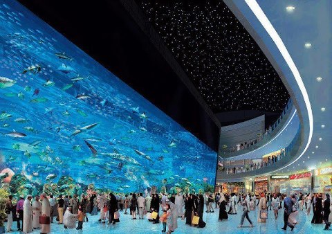 حديقة الأسماك في دبي Up710