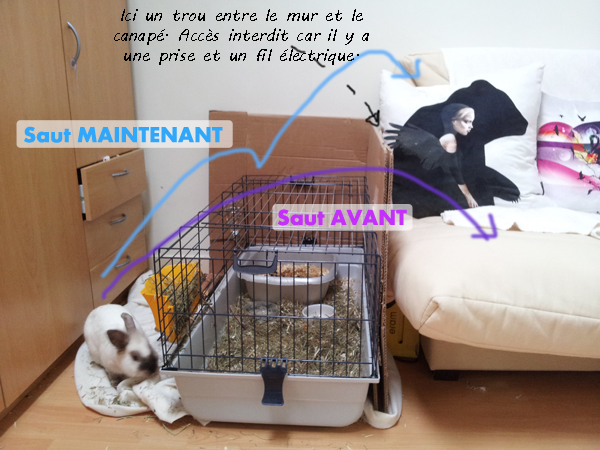 Habitation des lapins : exemples de cages, enclos ... - Page 23 Explic10