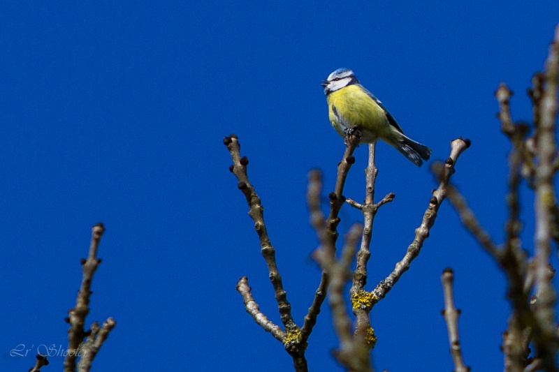 ballade du matin Img_1214