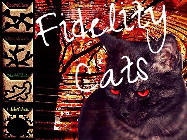 Die Fidelity Cats Dfa1bd11
