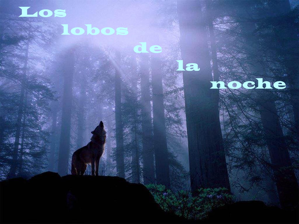 LOS LOBOS DE LA NOCHE