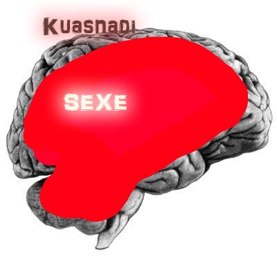 Le cerveau de Kuasnadi F394110