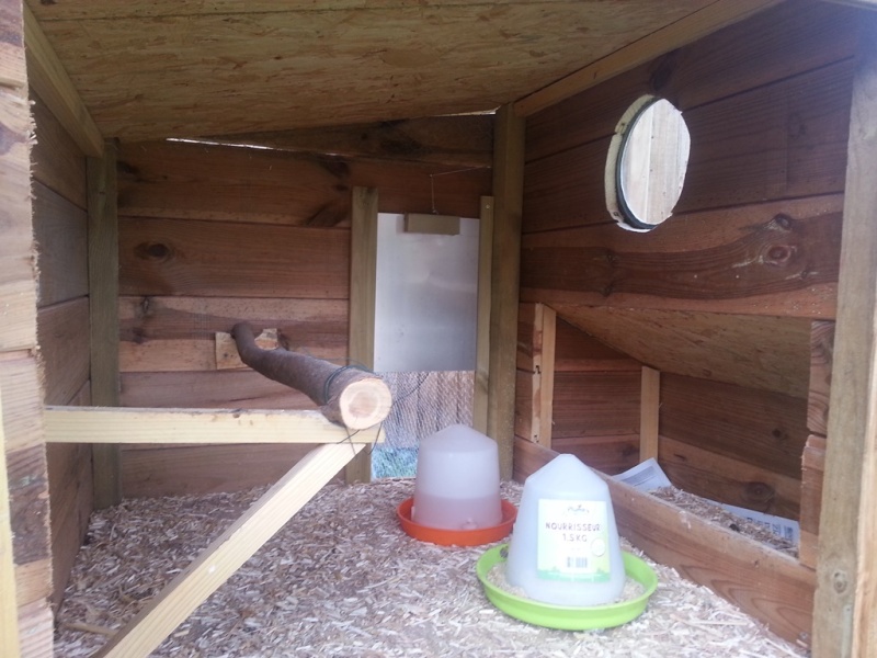Construction De Mon Petit Poulailler