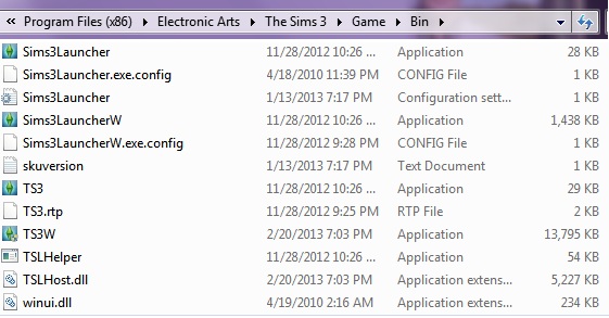 Sims 3 Problem...Game Doesn't Load Sims11