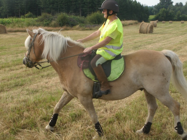 NABAB, Haflinger PP,réservée par M.Claire33 !! (Dec 2012) - Page 4 Gedc0311