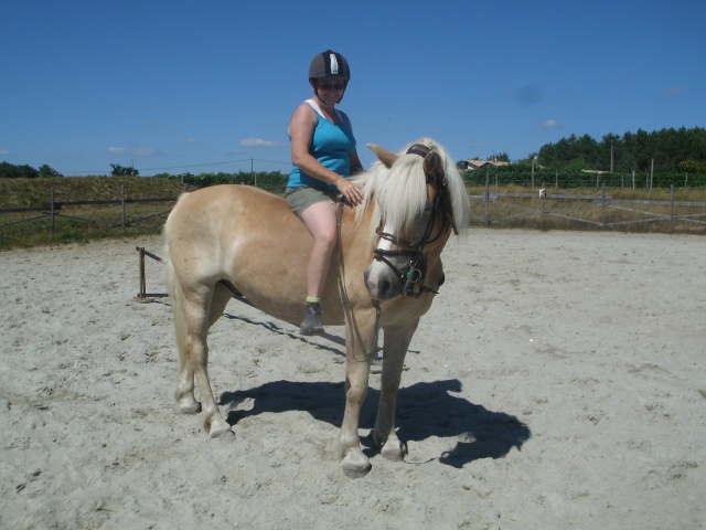 NABAB, Haflinger PP,réservée par M.Claire33 !! (Dec 2012) - Page 4 Gedc0710