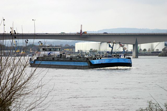 Kleiner Rheinbummel am 05.11.14 in Königswinter und Koblenz 1810