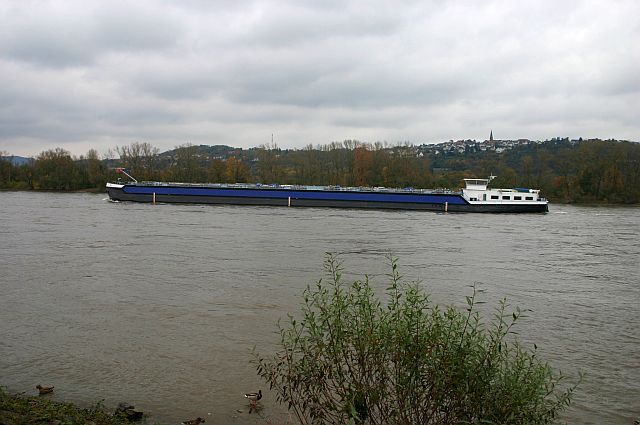 Kleiner Rheinbummel am 05.11.14 in Königswinter und Koblenz 19b10