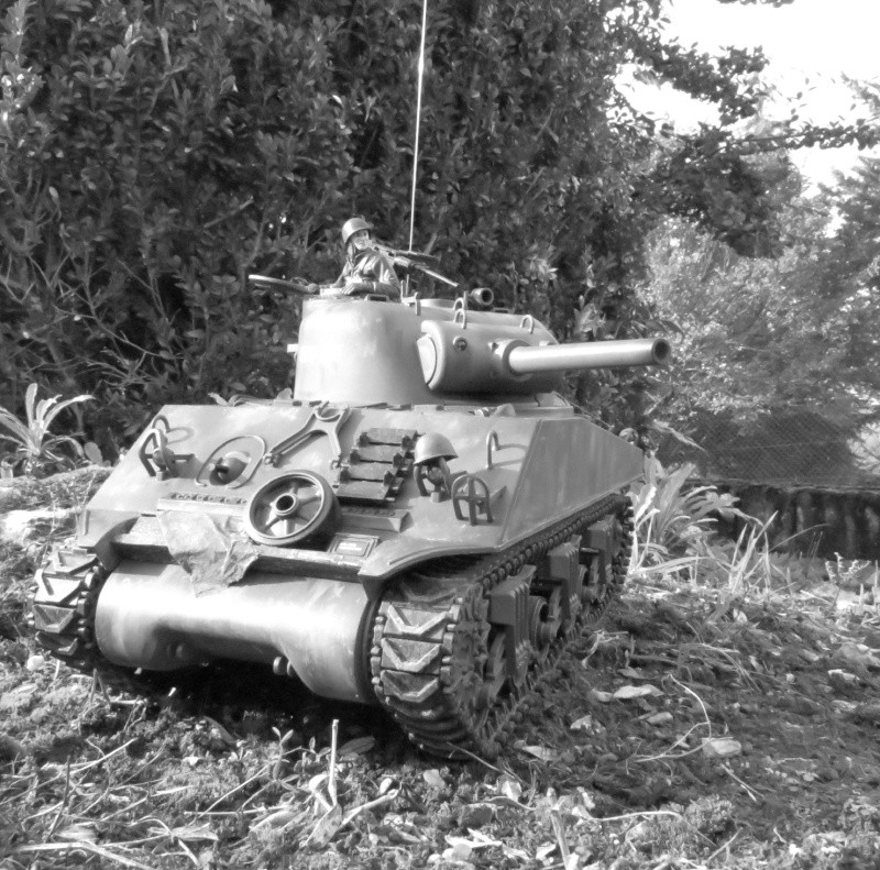 Mes M4A3 (105) VVSS Shermans- [Heng Long] - [1/16]  Img_810