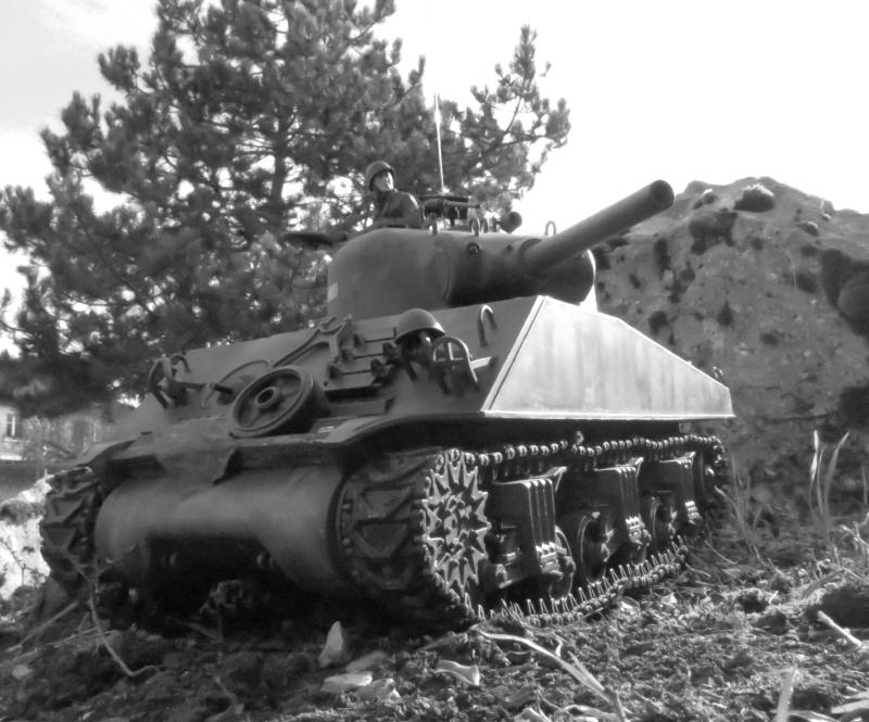 Mes M4A3 (105) VVSS Shermans- [Heng Long] - [1/16]  Img_910