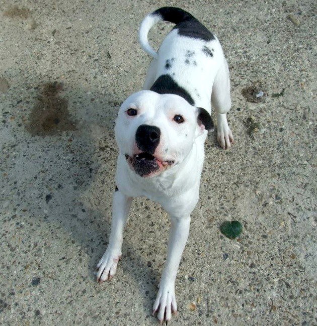 Gem, SBT needs rescue space URGENT (pound overflowing)  SAFE 30209410