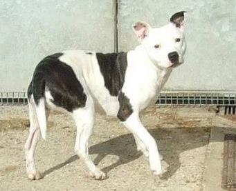 Gem, SBT needs rescue space URGENT (pound overflowing)  SAFE 31567010