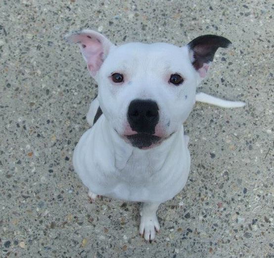 Gem, SBT needs rescue space URGENT (pound overflowing)  SAFE 53200710