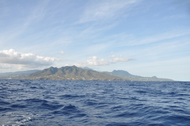 Bonjour de Guadeloupe ! Dsc_0512