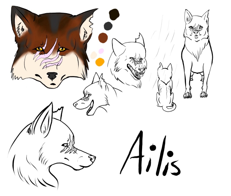 The Drawings and Writings of Ailis Ailis13