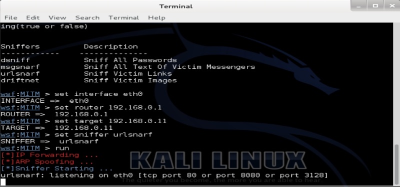 Tutorial websploit para Kali Linux captura de url´s Urlsna10
