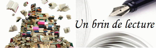 HOOVER Colleen - Hopeless, Tome 1 Un_bri11
