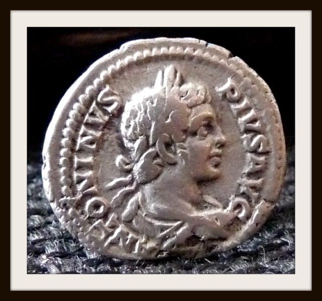 As de Vespasien ..  et avis photos par extension ...  P1100812