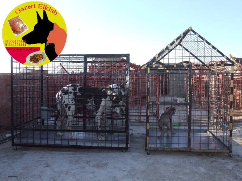 حظائر و بيوت كلاب للبيع Dscf6319