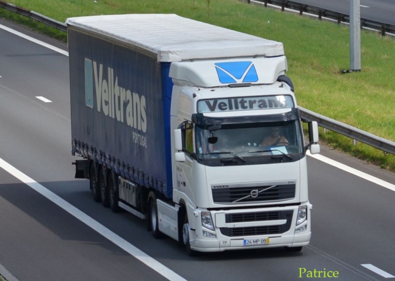 Velltrans  (Perafita) 144pp12