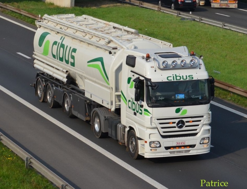  Cibus (Poperinge) 244pp11