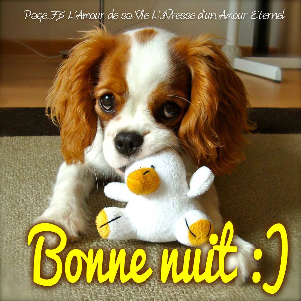 Jeudi 21 juin 2018 ....... C'est le week-end !!!! Bonne-19