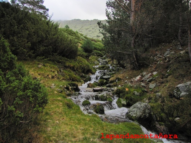 20141108 - GUADARRAMA - CIRCULAR A CABEZA DE HIERRO MAYOR 09610