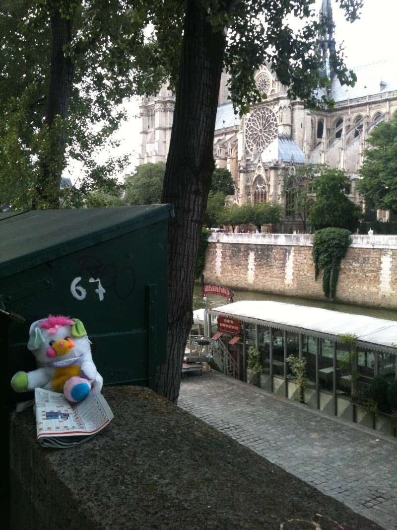 Le voyage d'un Popples à Paris... Img_3534