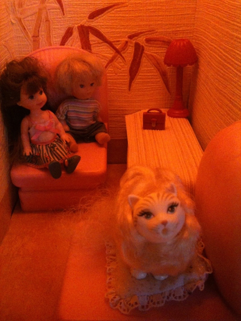 La grande maison de Barbie de Lilas Lala et ma toute petite à moi !! Img_6731
