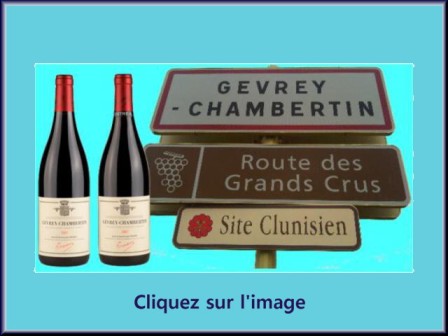 Balade dans les plus beaux vignobles de France Gevrey10