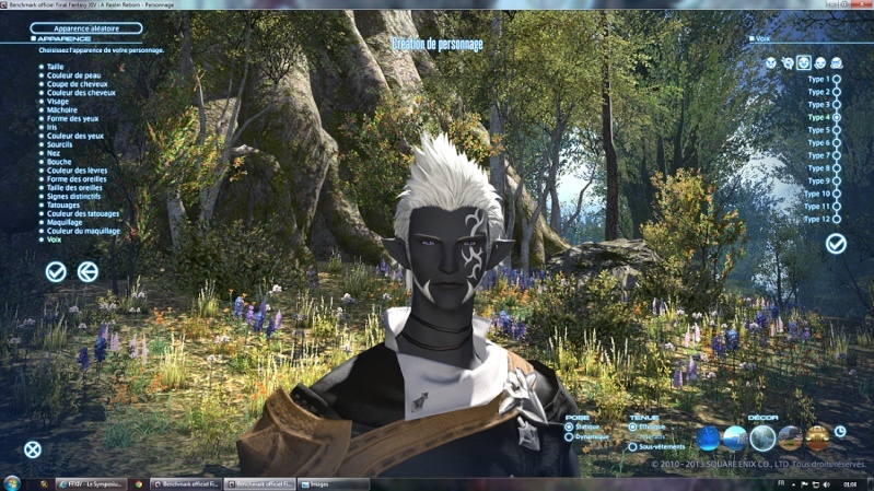 Avatar pour la release ^^ - Page 5 Elezen10