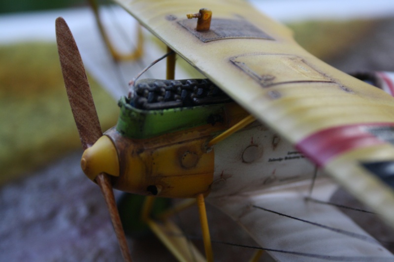 Pfalz D III Eduard 1/48 Img_5523