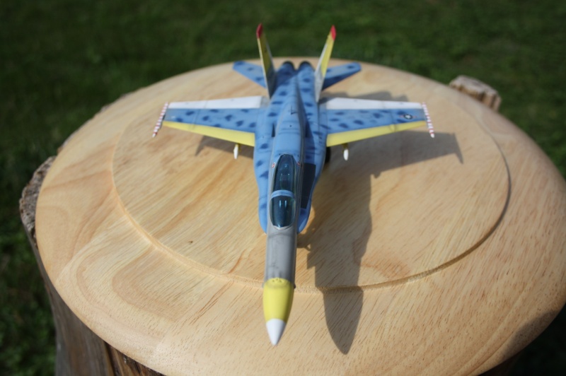 F 18  Fujimi 1/72 Img_5616