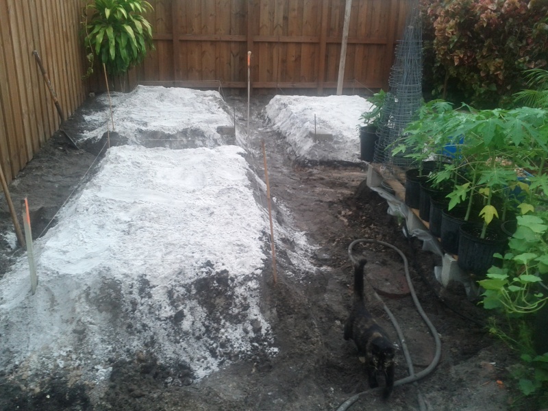 Raising the beds - any ideas on a simple/economical retaining wall for the base? White_10