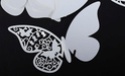 forme papillon robot craft silhouette 20130715