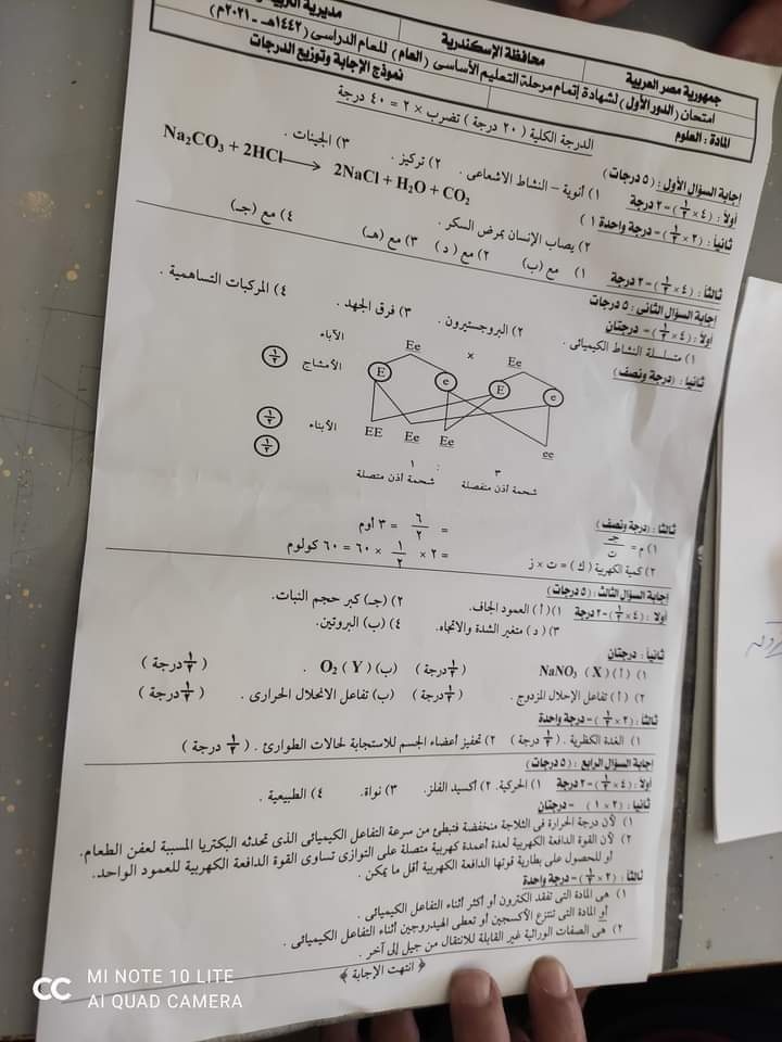 نموذج الإجابة الرسمي وتوزيع الدرجات لامتحان العلوم للشهادة الإعدادية ترم ثاني ٢٠٢١ محافظة الاسكندرية 111168