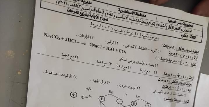 نموذج الإجابة الرسمي وتوزيع الدرجات لامتحان العلوم للشهادة الإعدادية ترم ثاني ٢٠٢١ محافظة الاسكندرية 111169